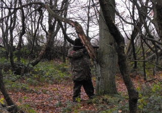  Un jugador apuntando a su oponenle desde detrás de un árbol